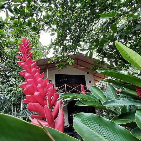 Casa Martina Leilighet Cahuita Eksteriør bilde